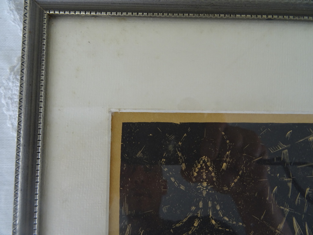 Antieke lithografie paddenstoelen - Afbeelding 16