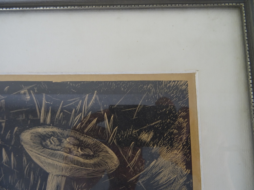Antieke lithografie paddenstoelen - Afbeelding 17