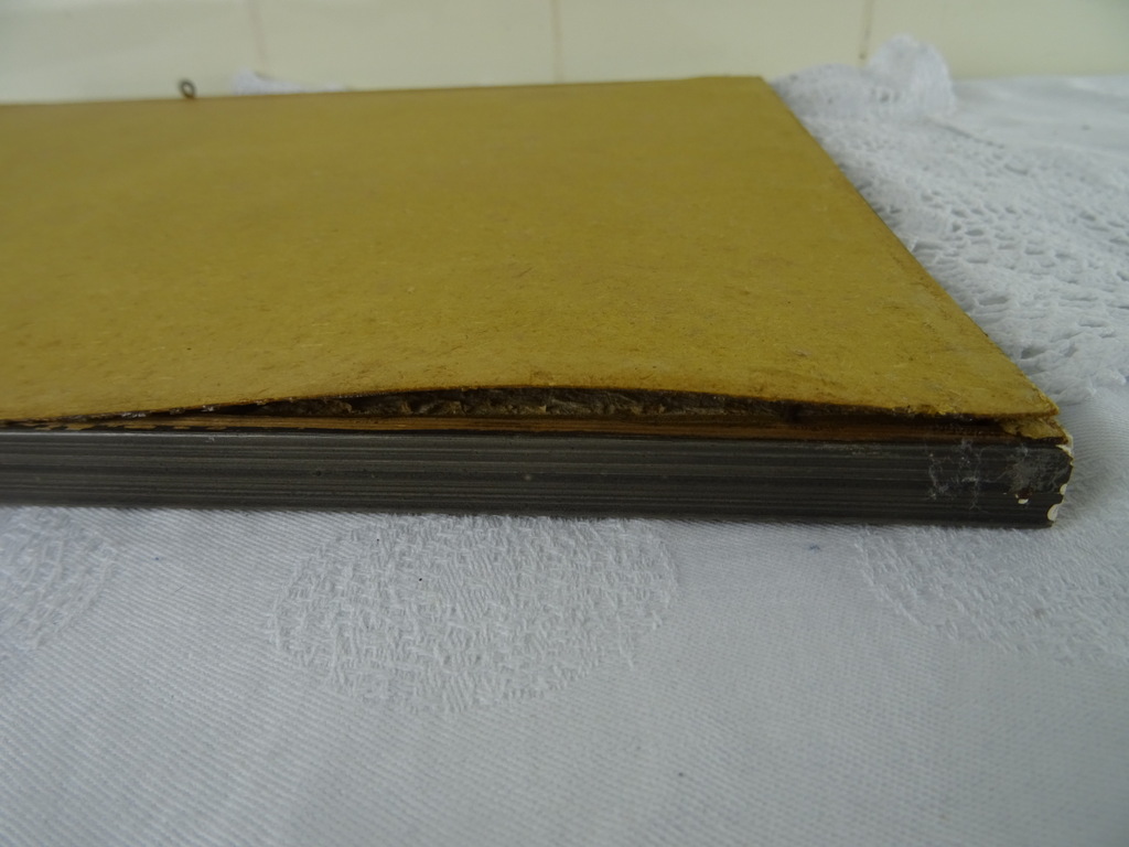Antieke lithografie paddenstoelen - Afbeelding 19
