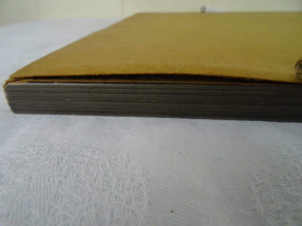 Antieke lithografie paddenstoelen - Afbeelding 20