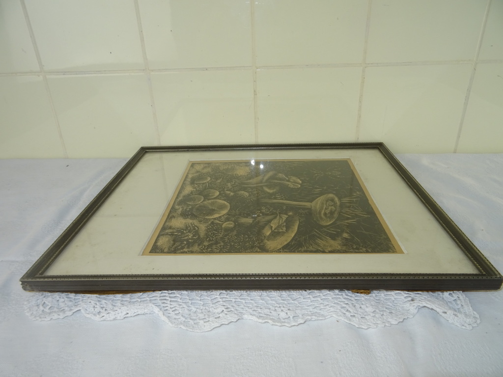 Antieke lithografie paddenstoelen - Afbeelding 21