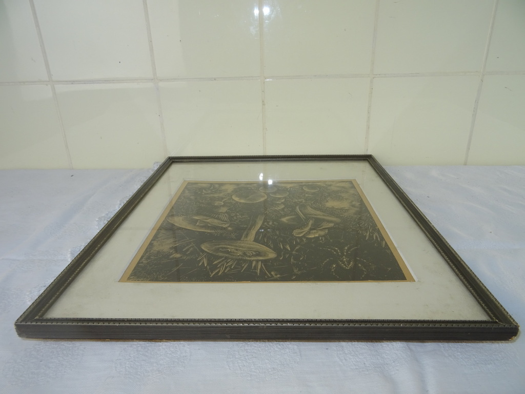Antieke lithografie paddenstoelen - Afbeelding 22