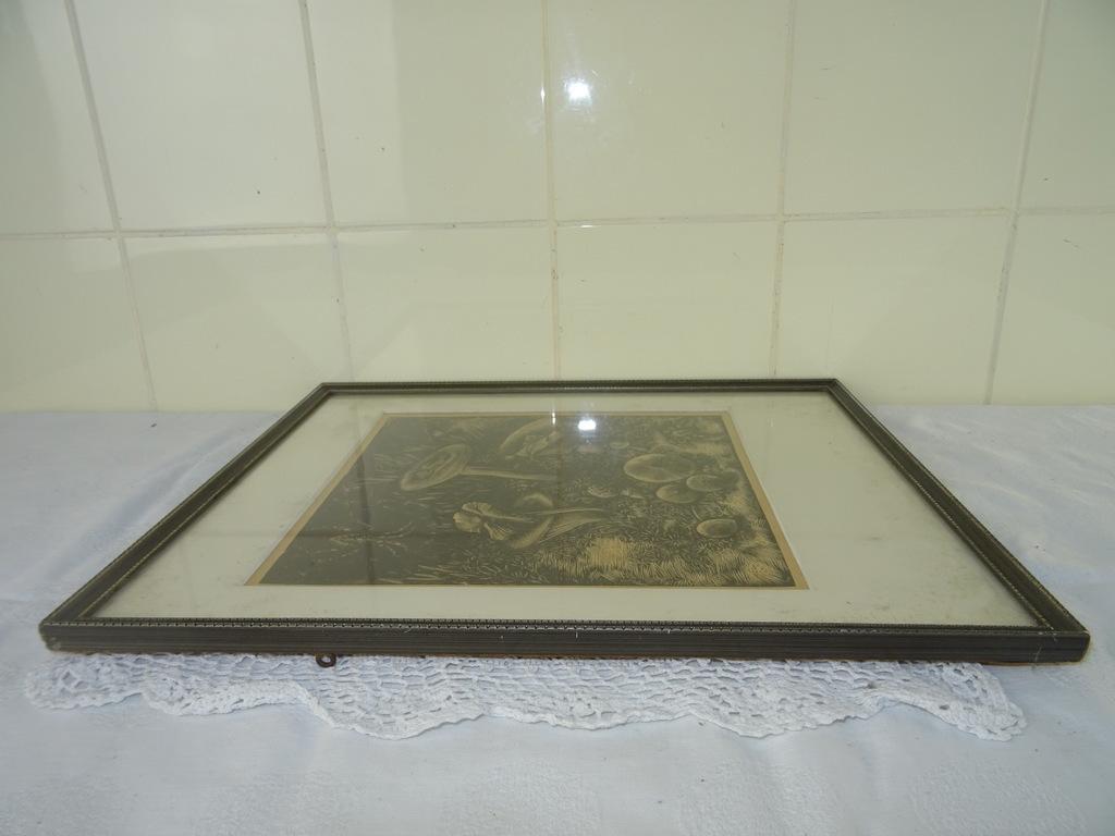 Antieke lithografie paddenstoelen - Afbeelding 24