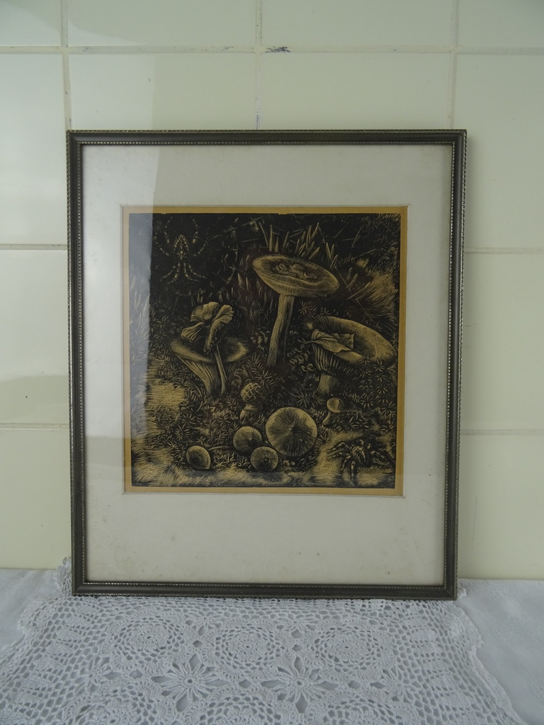 Antieke lithografie paddenstoelen - Afbeelding 27