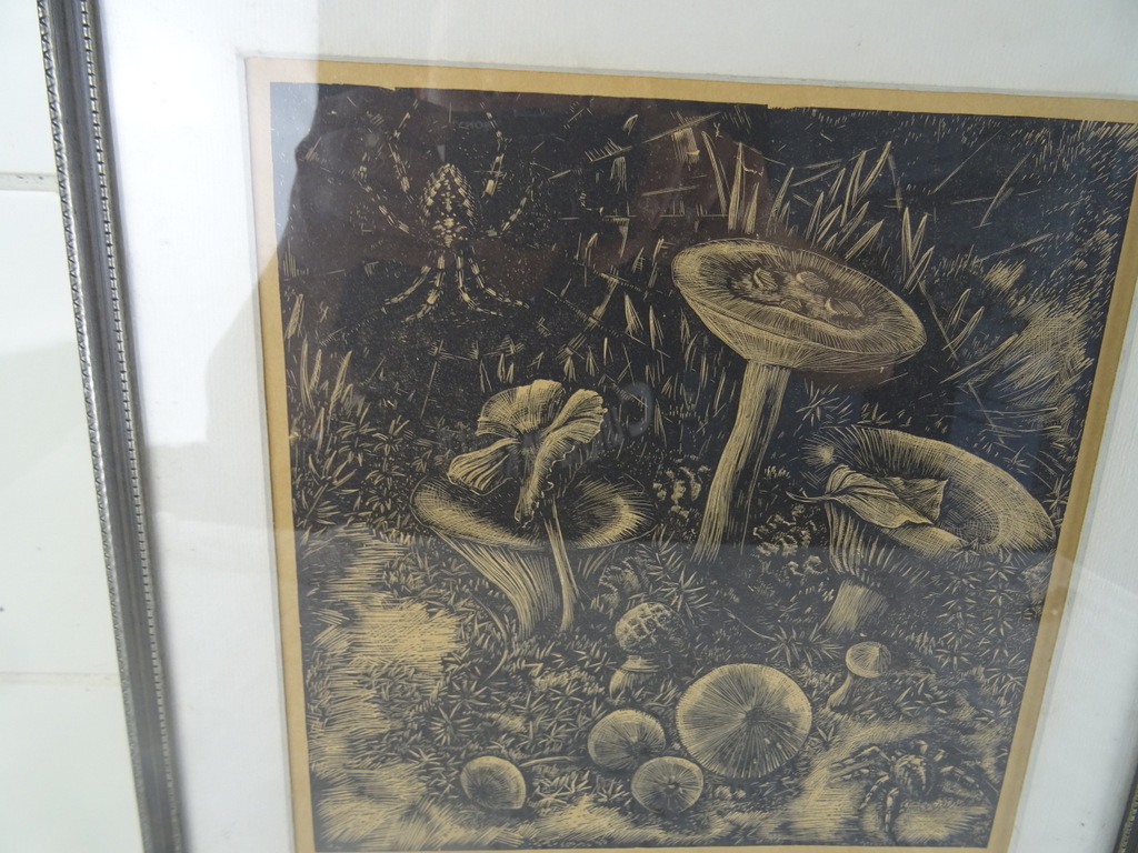 Antieke lithografie paddenstoelen - Afbeelding 30