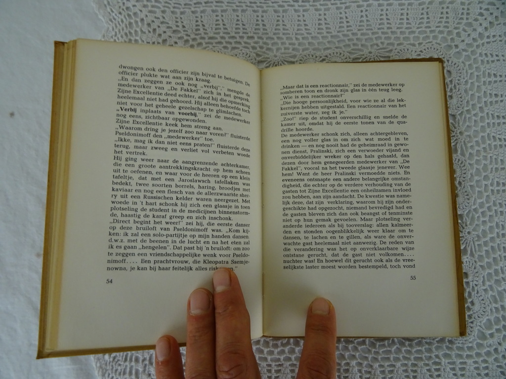 Een onaangename geschiedenis F.M. Postojewski - Afbeelding 9