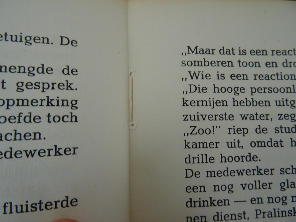 Een onaangename geschiedenis F.M. Postojewski - Afbeelding 8
