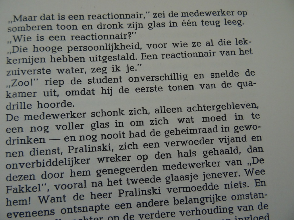 Een onaangename geschiedenis F.M. Postojewski - Afbeelding 10