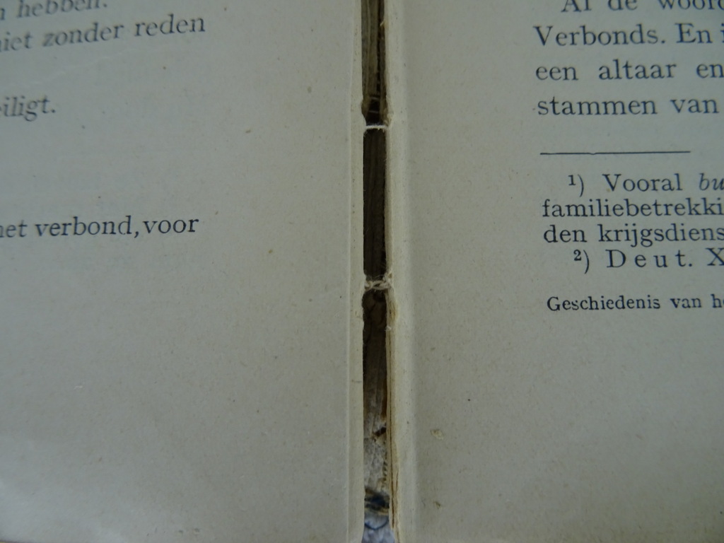 Geschiedenis van het Oude Testament - Afbeelding 10