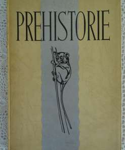 Antiek lesboek Prehistorie vertaald door Jan Romein
