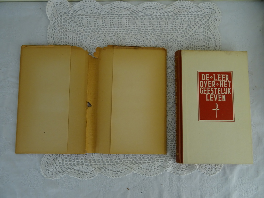 De leer over het geestelijk leven door Père Louis Lallement S.J. - Afbeelding 2