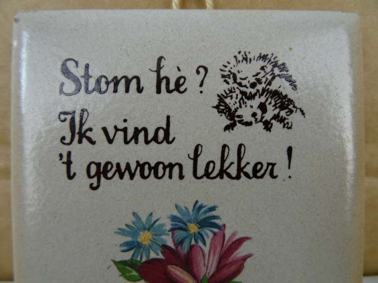 Vintage tegeltje Stom he? Ik vind 't gewoon lekker!