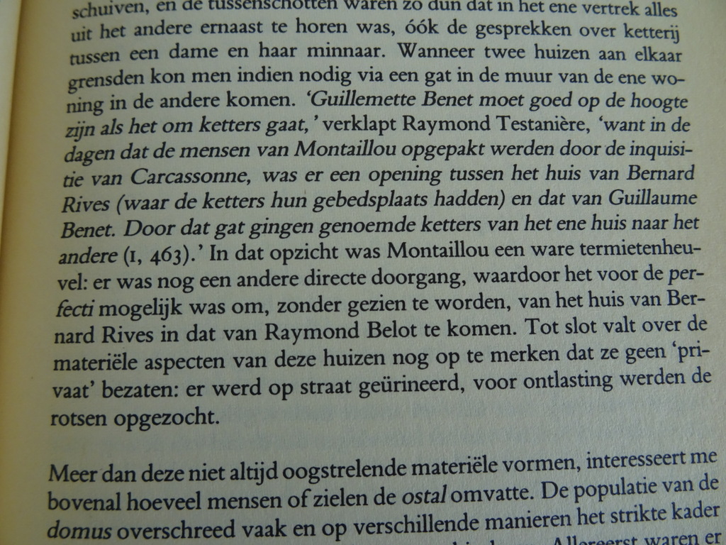 Montaillou door Emmanuel Le Roy Ladurie - Afbeelding 18