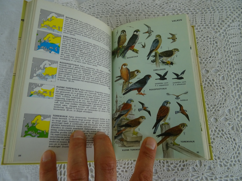 De Europese vogels in kleur door H. Heinzel - Afbeelding 12