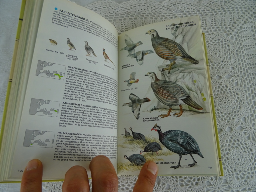 De Europese vogels in kleur door H. Heinzel - Afbeelding 13