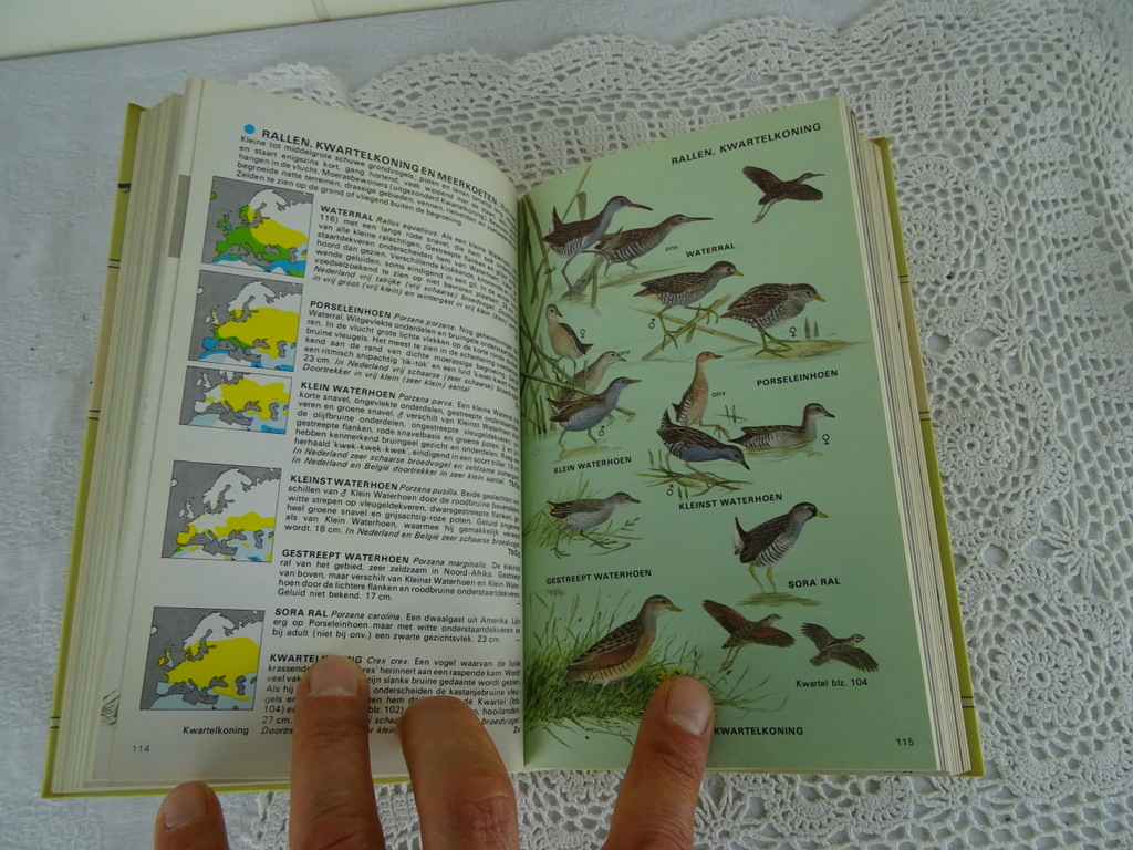 De Europese vogels in kleur door H. Heinzel - Afbeelding 14