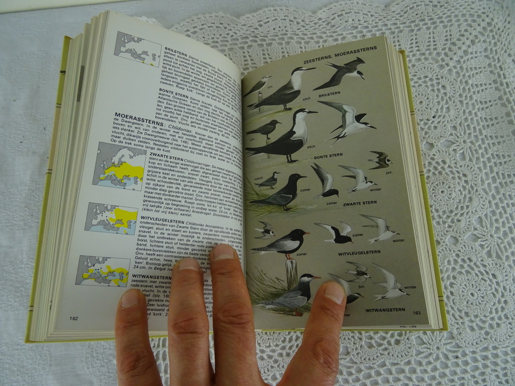 De Europese vogels in kleur door H. Heinzel - Afbeelding 15