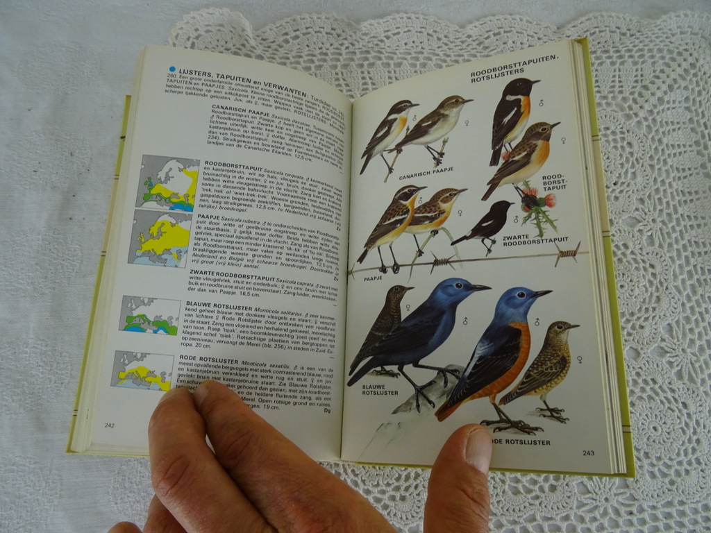 De Europese vogels in kleur door H. Heinzel - Afbeelding 16