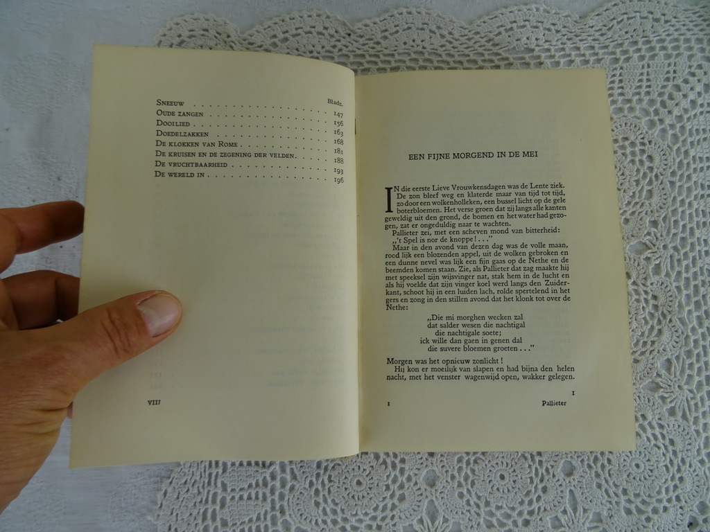 Pallieter door Felix Timmermans - Afbeelding 11