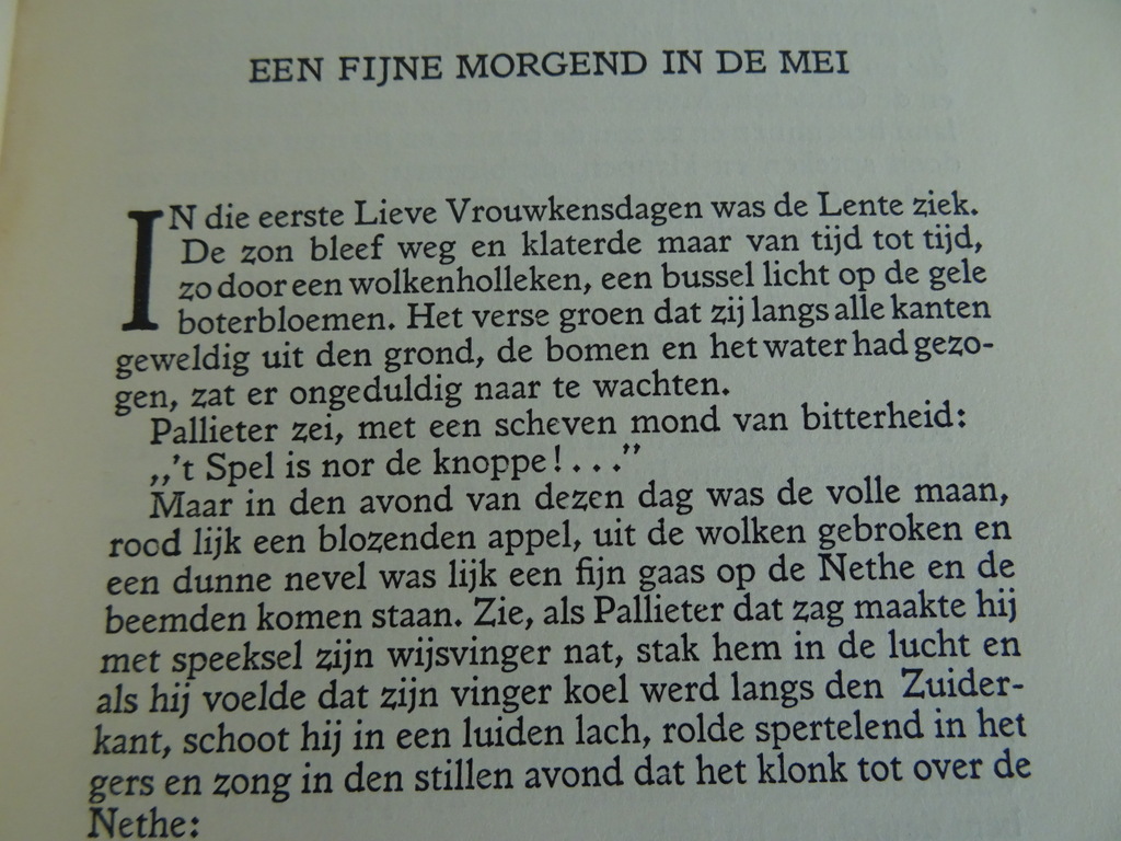 Pallieter door Felix Timmermans - Afbeelding 12