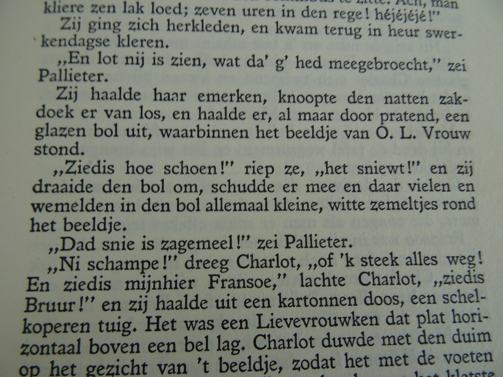 Pallieter door Felix Timmermans - Afbeelding 15