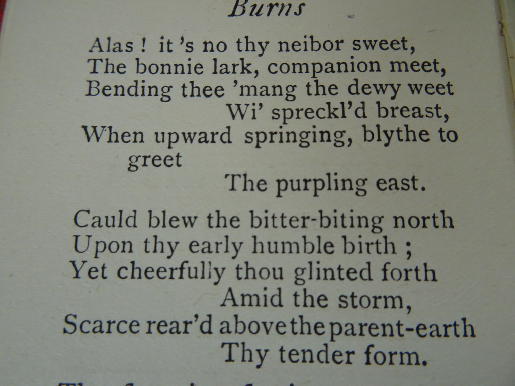 Moments with Robert Burns - Afbeelding 14