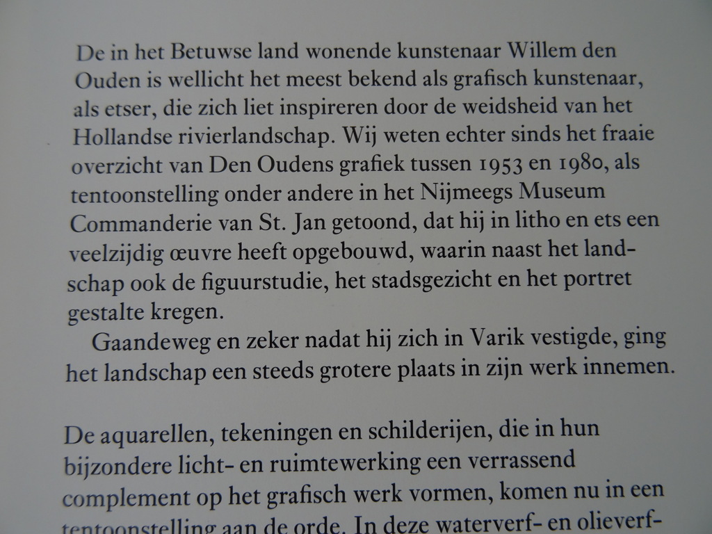Willem den Ouden Rivierlandschappen gesigneerd - Afbeelding 8