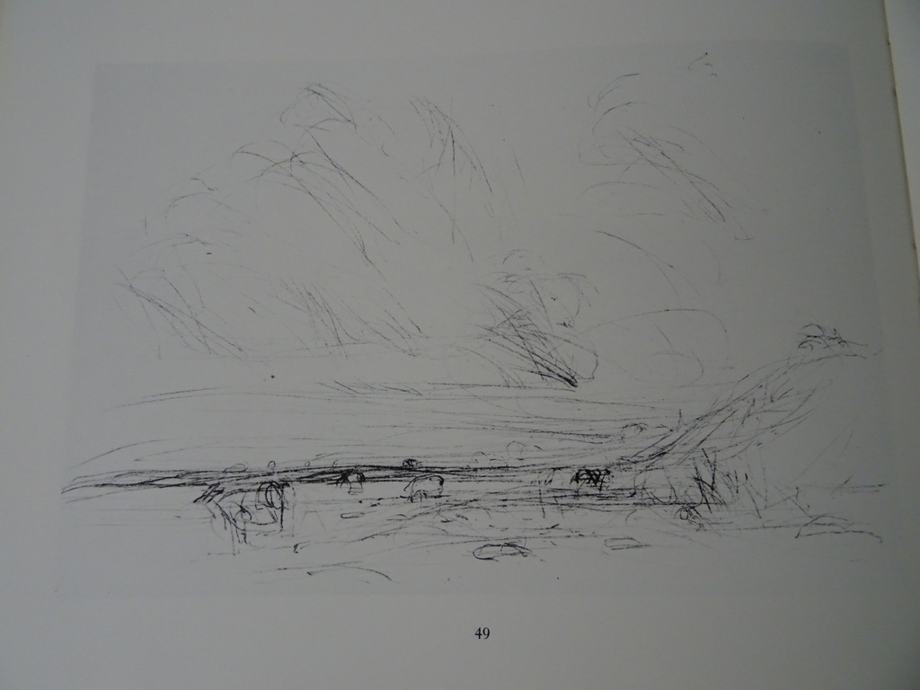 Willem den Ouden Rivierlandschappen gesigneerd - Afbeelding 14