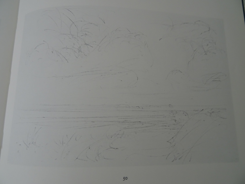 Willem den Ouden Rivierlandschappen gesigneerd - Afbeelding 16