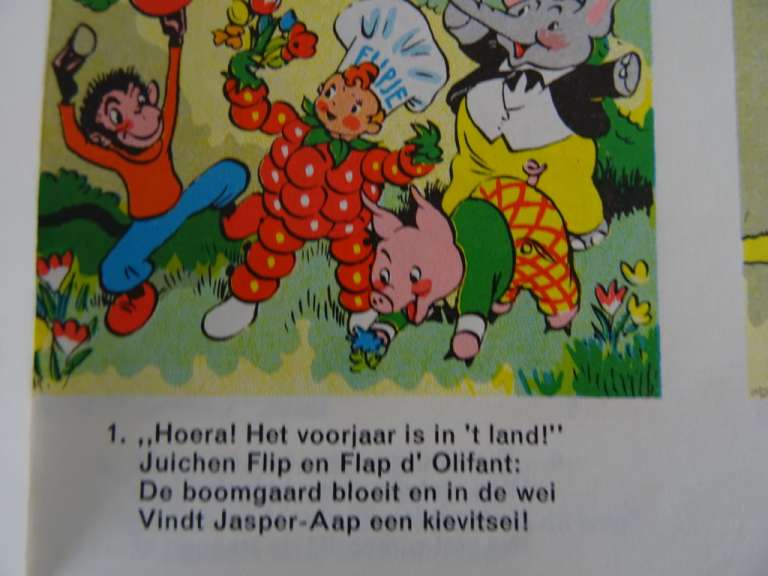 De avonturen van Flipje