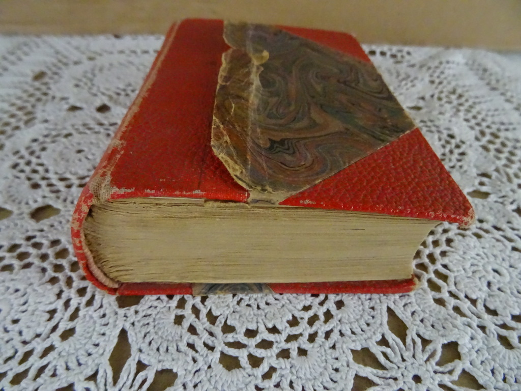 Antiek Frans medisch woordenboek - Afbeelding 2