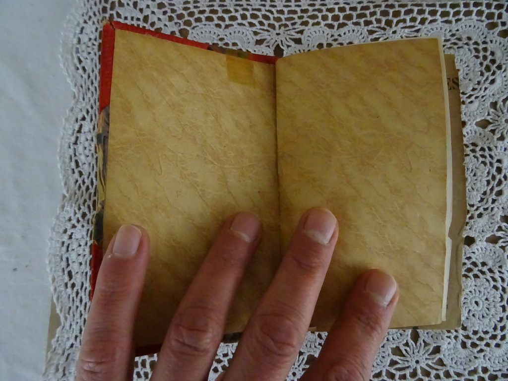 Antiek Frans medisch woordenboek - Afbeelding 3