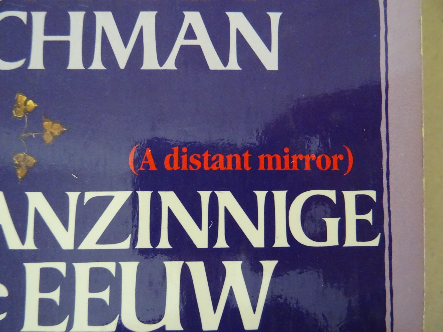 Barbara Tuchman De waanzinnige 14de eeuw - Afbeelding 2