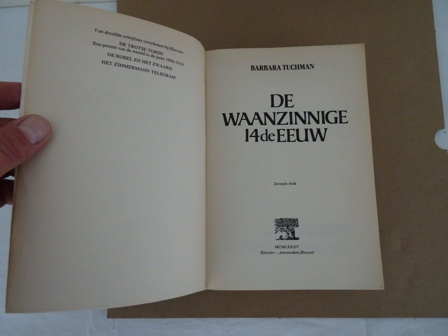 Barbara Tuchman De waanzinnige 14de eeuw - Afbeelding 5