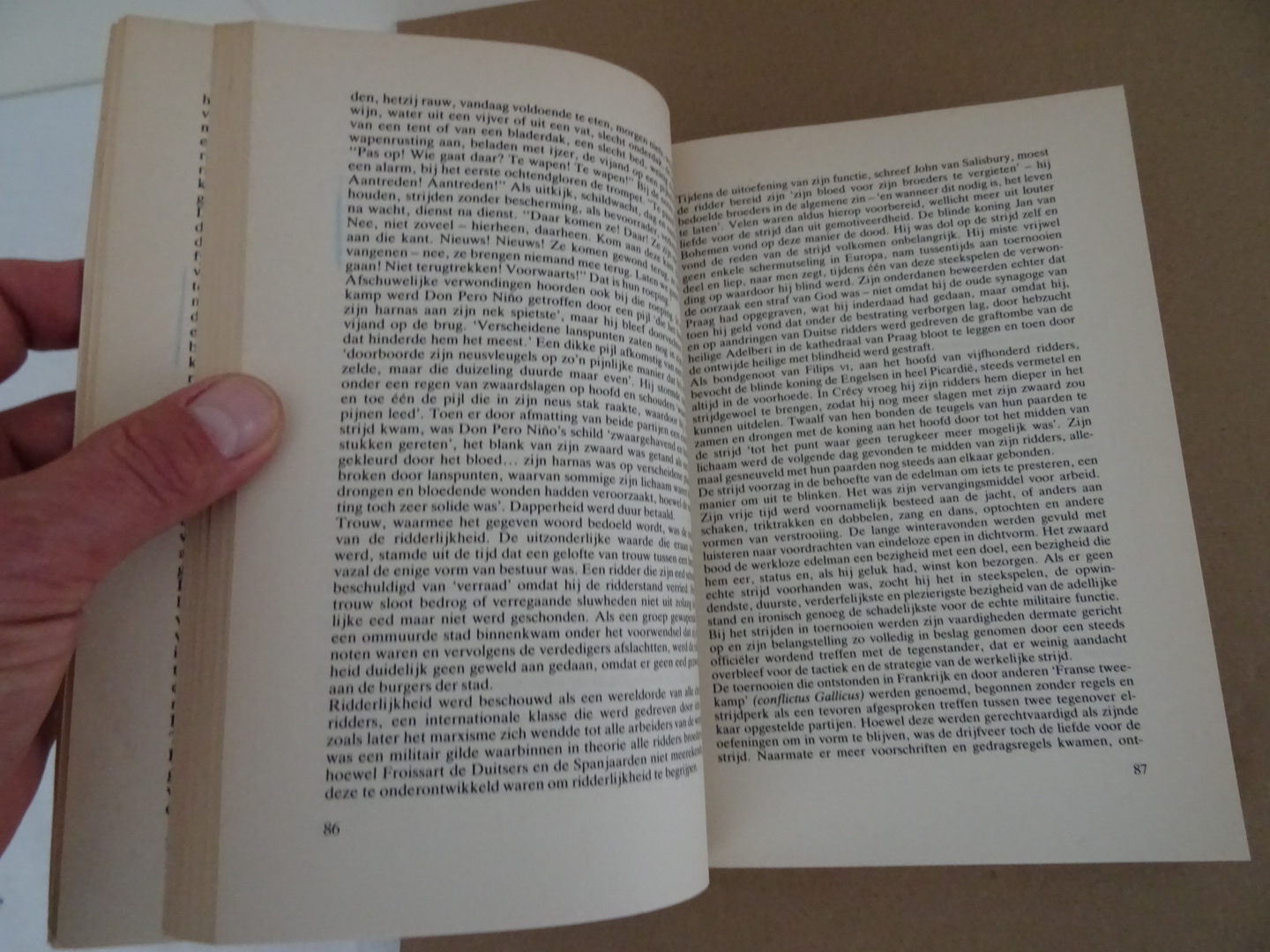 Barbara Tuchman De waanzinnige 14de eeuw - Afbeelding 15
