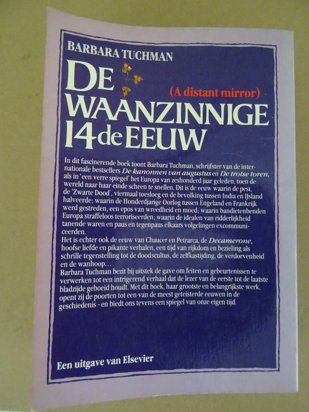 Barbara Tuchman De waanzinnige 14de eeuw - Afbeelding 22
