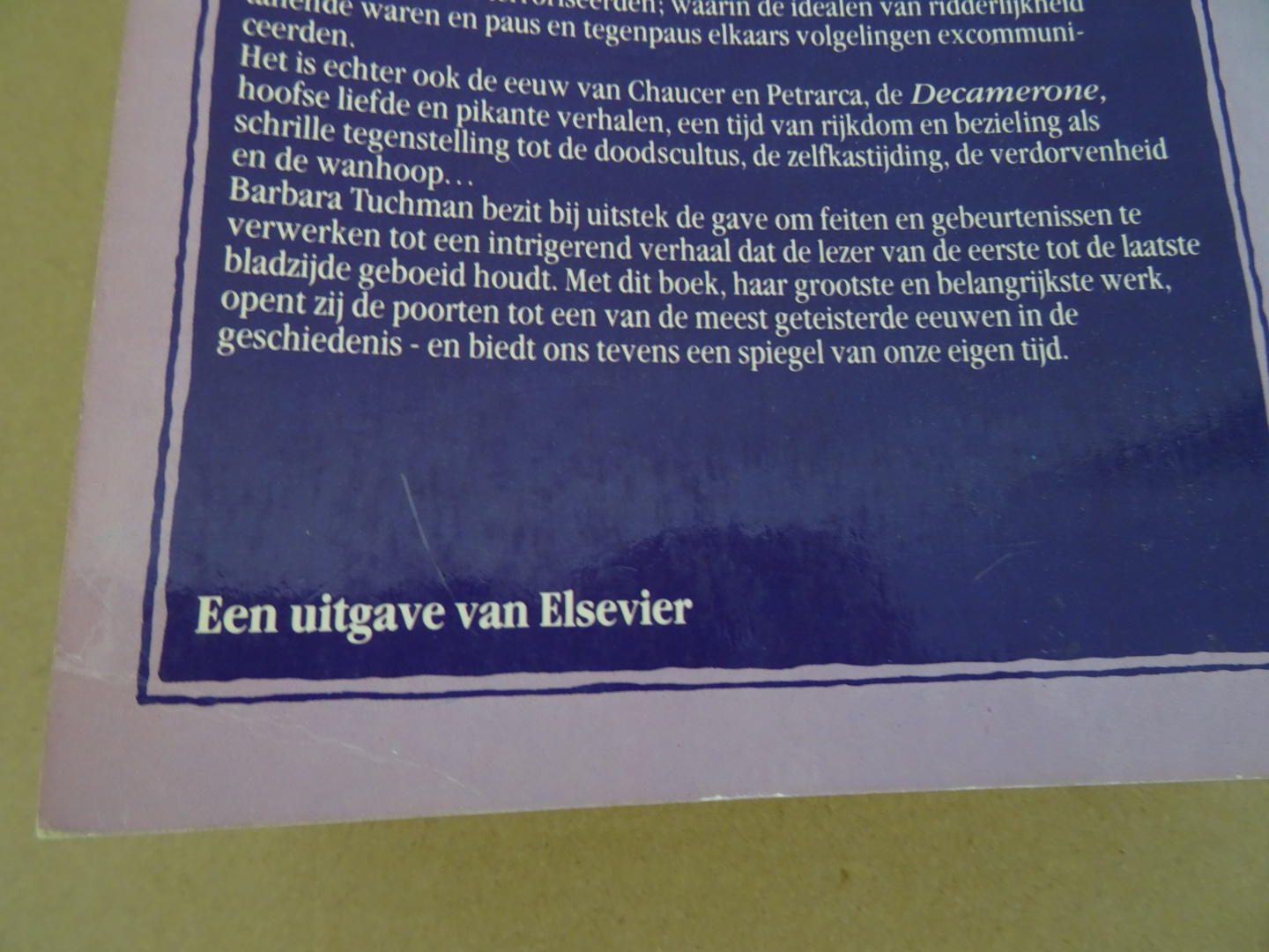 Barbara Tuchman De waanzinnige 14de eeuw - Afbeelding 24