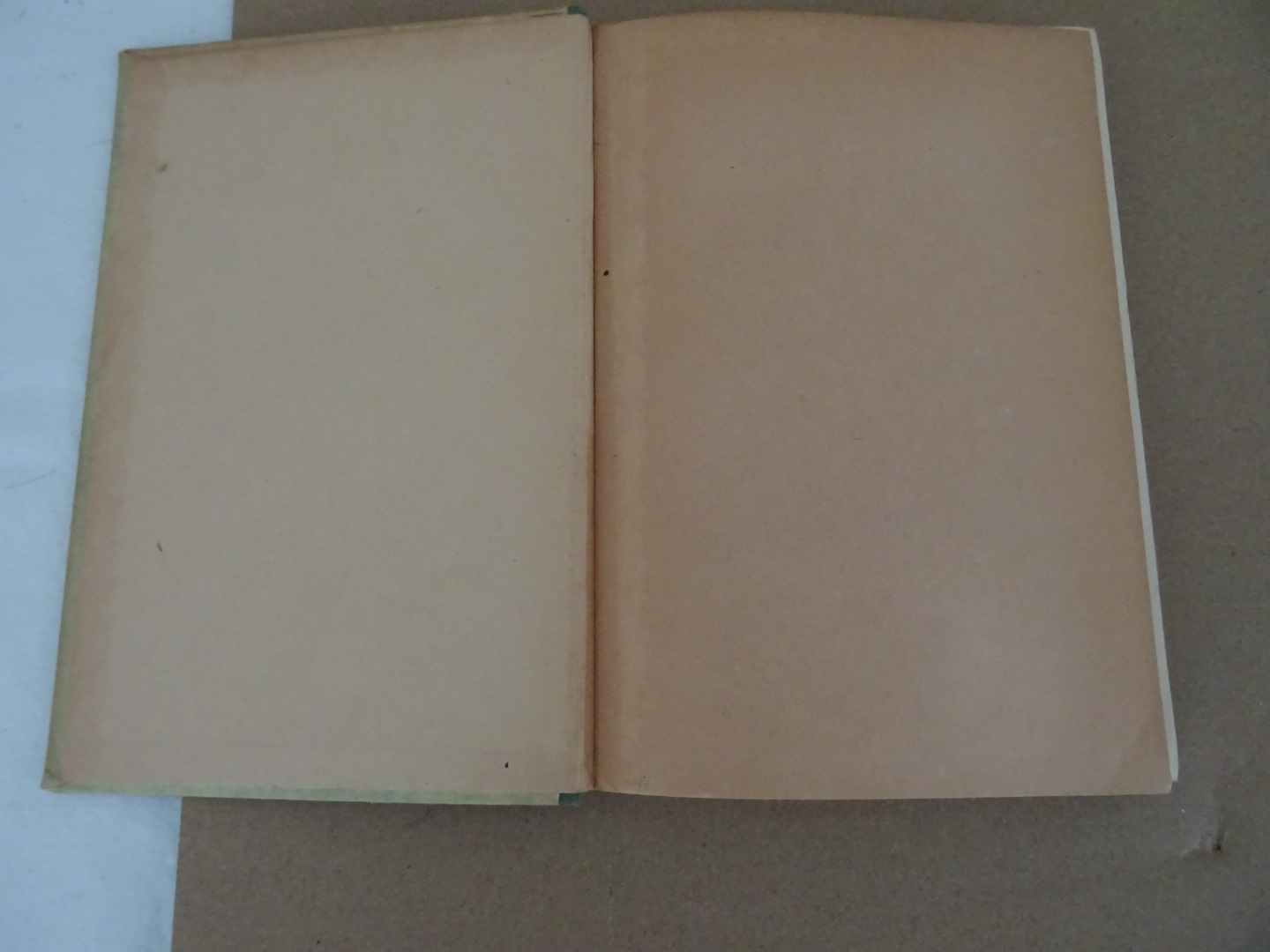 Antiek woordenboek uit 1930 Pitfalls - Afbeelding 4
