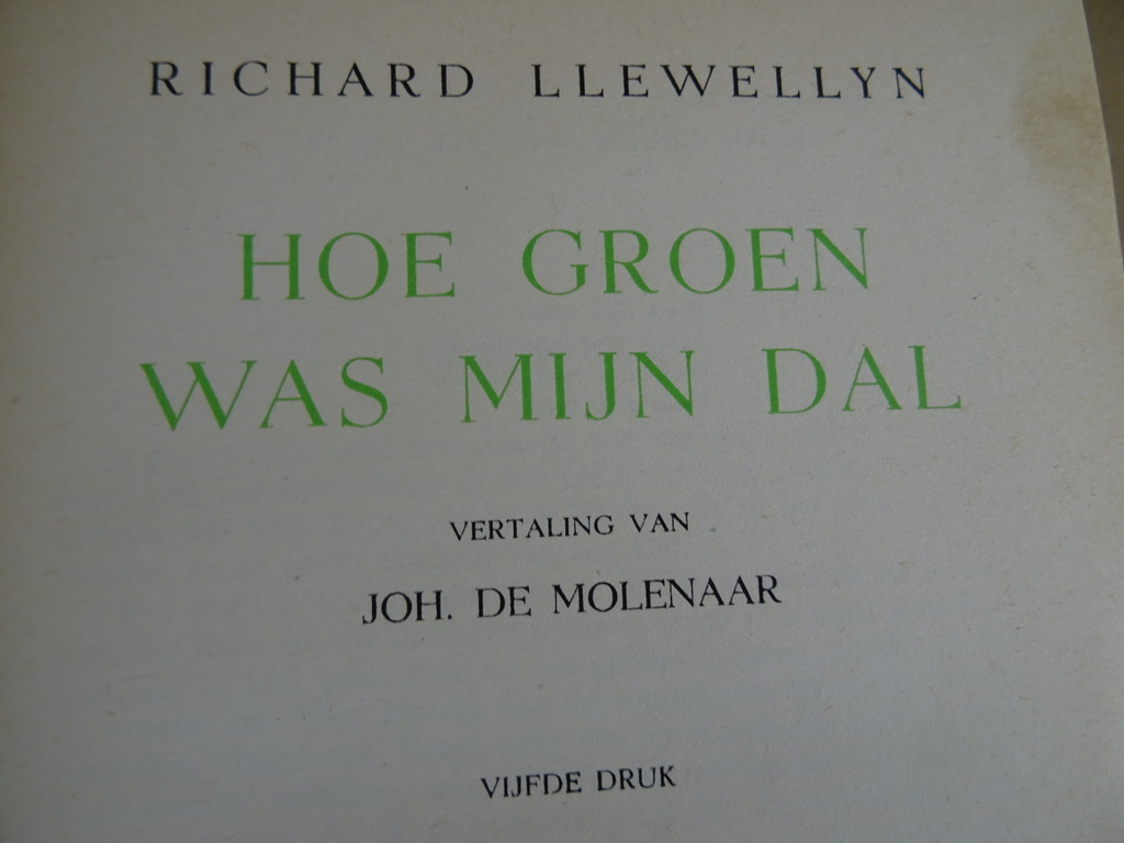 Richard Llewellyn Hoe groen was mijn dal - Afbeelding 8