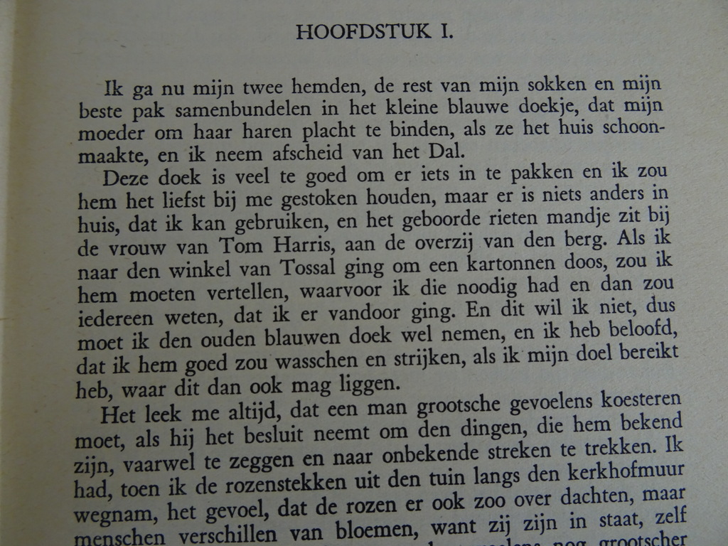Richard Llewellyn Hoe groen was mijn dal - Afbeelding 10