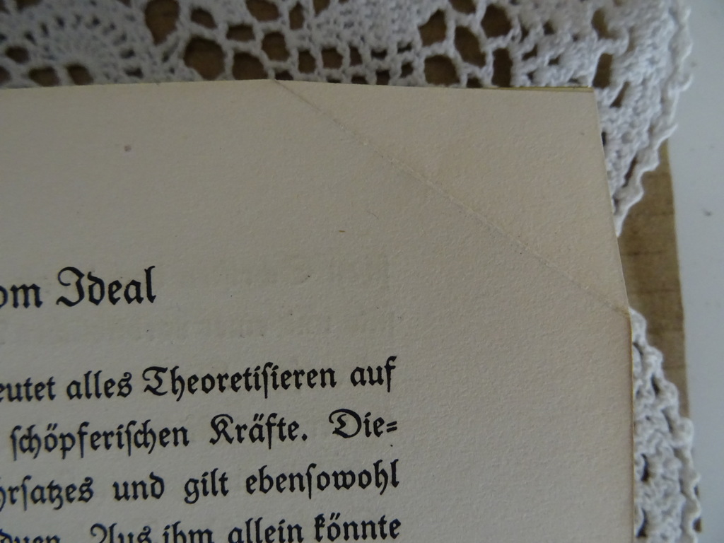 Karl Scheffler Der geist der Gotik - Afbeelding 10