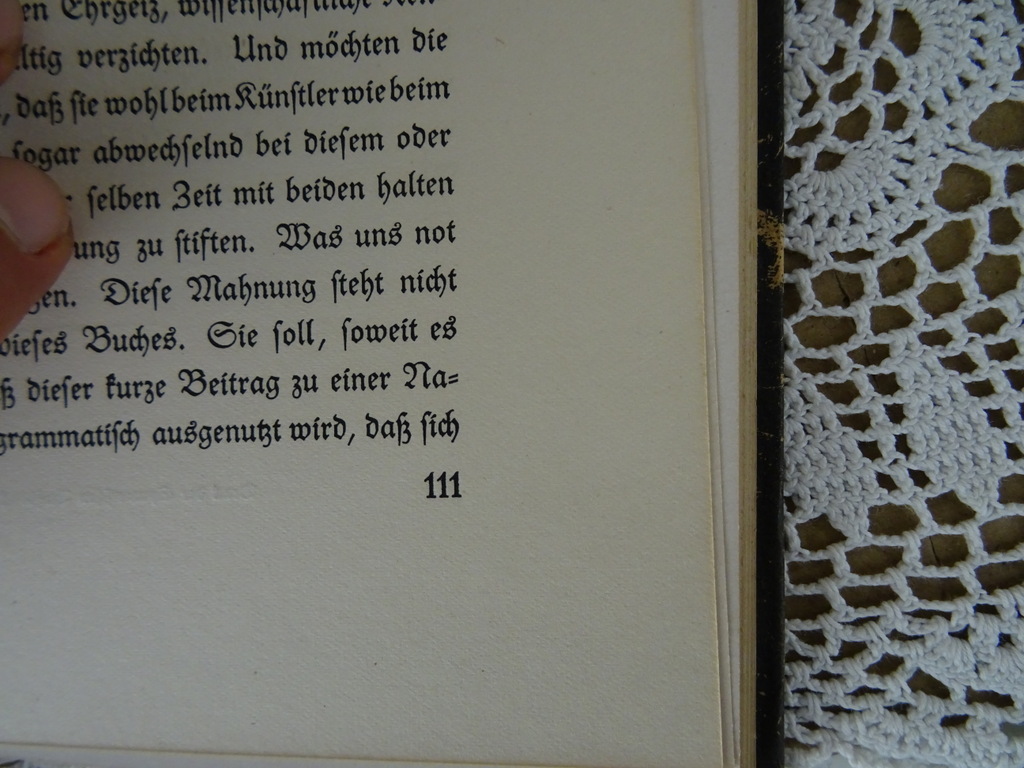 Karl Scheffler Der geist der Gotik - Afbeelding 27