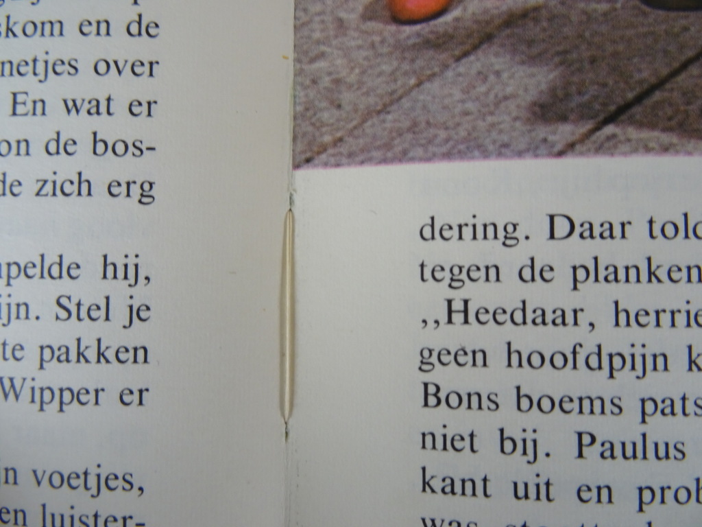 Paulus de Boskabouter Het eukelknijn - Afbeelding 8