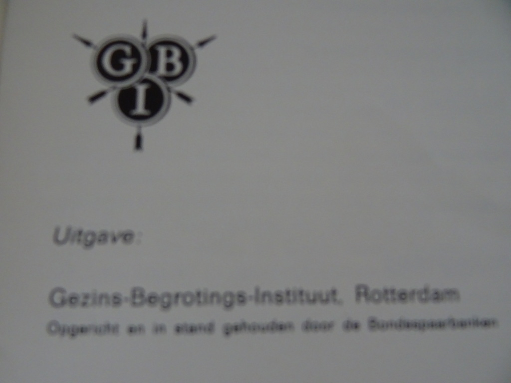 De auto in de gezinsbegroting - Afbeelding 4