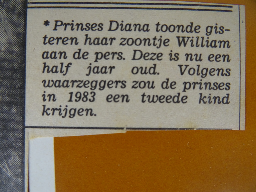 Collectie krantenknipsels over vorstenhuizen - Afbeelding 21