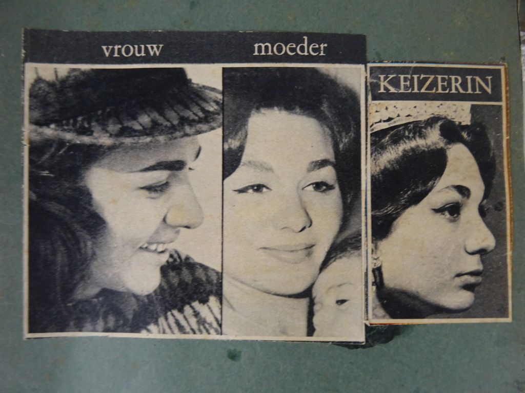Collectie krantenknipsels over vorstenhuizen - Afbeelding 44
