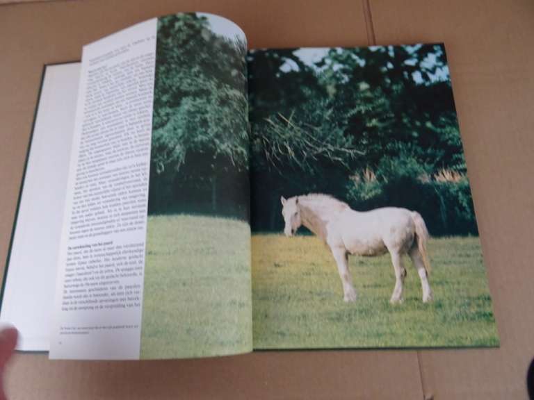 Lekturama boek De wereld van het paard