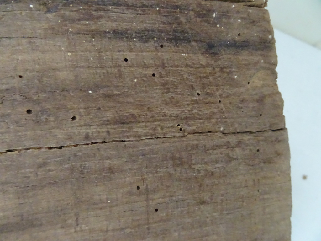 Antieke houten ovenschep bakker 164 cm - Afbeelding 17