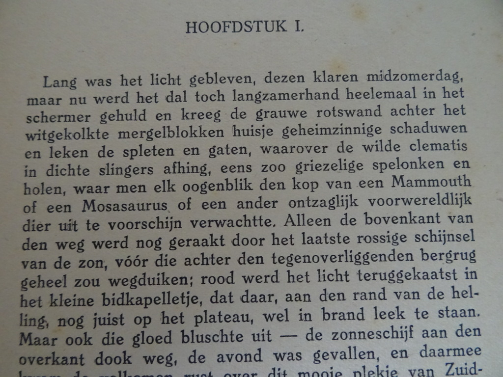 Avonturen in vacantietijd door Rein Valkhoff - Afbeelding 9