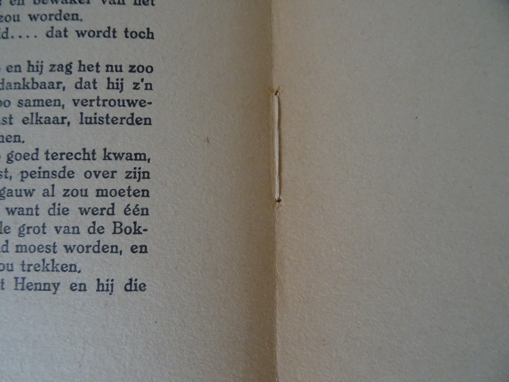 Avonturen in vacantietijd door Rein Valkhoff - Afbeelding 18